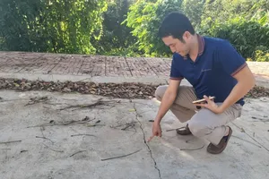 Dự án đường giao thông chưa bàn giao đã nứt nẻ