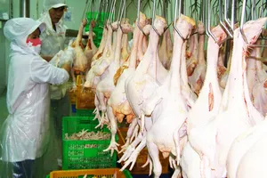 Mang thực phẩm an toàn đặt trên bàn ăn