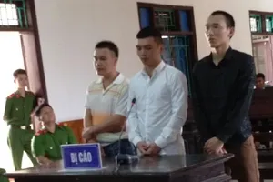 Bốn người sử dụng ma túy, ba người lãnh án