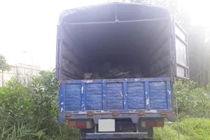 Tài xế xe tải ngủ say, trộm thò tay lấy túi xách nửa tỉ