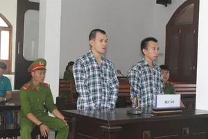 Đoạt mạng người đi nhờ xe, giấu xác trong rừng keo