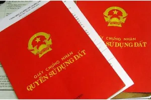 Hủy hai bản án vụ tranh chấp quyền sử dụng đất