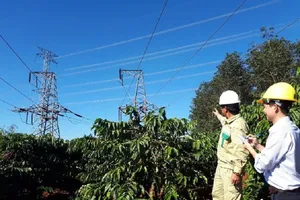 Bồi thường thu hồi đất trong hành lang an toàn lưới điện