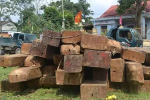 Tòa cho hưởng án treo khi không đủ điều kiện