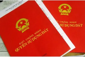 VKS đề nghị khắc phục vi phạm trong cấp lại giấy chứng nhận quyền sử dụng đất