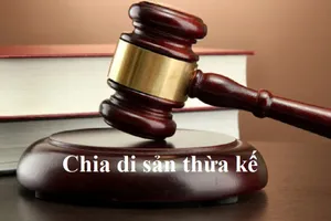 Bị mẹ kiện ra tòa, con trai phản tố đòi chia thừa kế