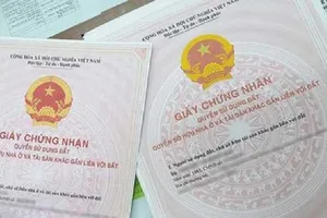 Hủy án vì có dấu hiệu bỏ lọt hành vi phạm tội