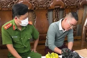 Cựu tổng giám đốc Công ty DCB sắp hầu tòa vụ lừa bán dự án 'ma'