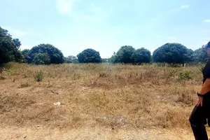 Gần 2 năm không được giải quyết hồ sơ đất