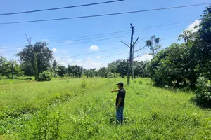 Đương sự không có quyền chuyển nhượng nhưng tòa vẫn công nhận