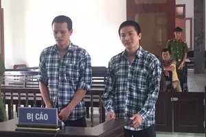 Rinh luôn két sắt cho gọn