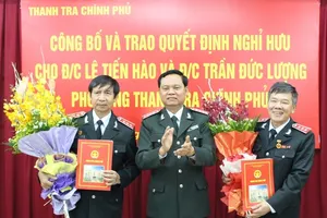 Hai phó tổng Thanh tra Chính phủ nghỉ hưu