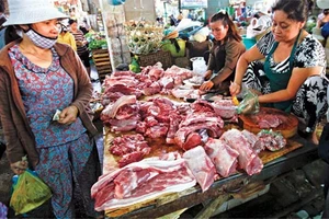 'Ăn chất cấm, chết rồi mới truy xuất thì phi thực tế'