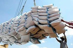 Hàng loạt sai phạm nghiêm trọng tại Tổng Công ty Lương thực Miền Nam