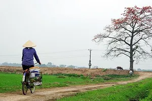 Tháng Ba mùa hoa gạo