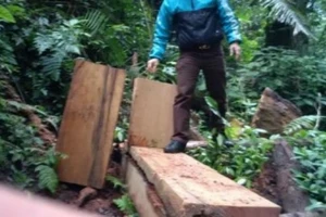 Đình chỉ cảnh sát cơ động xịt hơi cay vào nhà báo đang tác nghiệp