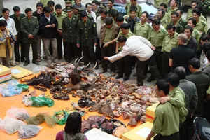 Phạt 15 tỉ đồng khi buôn bán động hoang dã vào Việt Nam