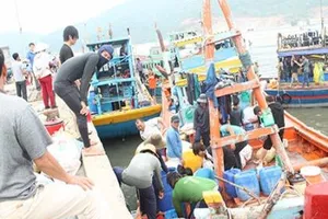 Tăng thời gian hỗ trợ gạo cho ngư dân bị ảnh hưởng vụ cá chết bất thường 