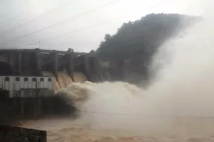 Thủy điện Hố Hô bị phạt 115,5 triệu đồng