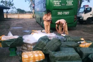 Đưa cả tấn heo bẩn vào TP HCM tiêu thụ bị bắt giữ 