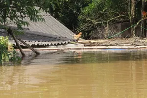 Thêm 11 người chết và mất tích ở Thanh Hóa