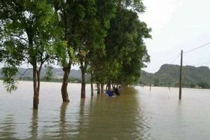 700 phạm nhân ở trại giam Thanh Hóa bị lũ cô lập