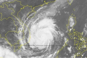 'Bão số 12 giật cấp 15 và còn mạnh hơn nữa khi vào bờ'