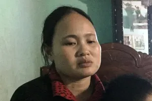 Vụ mẹ giành quyền nuôi con: 'Nhiều lúc tôi cũng ân hận'