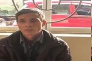 Kẻ hủy hoại 400 gốc quất cảnh lãnh án 30 tháng tù 