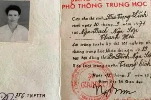 Dùng bằng giả, 2 phó chủ tịch bị cách chức