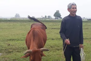 Chủ tịch TP Thanh Hóa lên tiếng vụ trâu bò ăn cỏ phải đóng phí