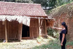 Nghi án bác hiếp dâm cháu gái có thai