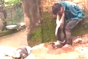 Dân treo xác chó vào cổ kẻ trộm!