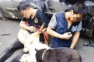 Khống chế 2 kẻ trộm chó, 3 công an bị phơi nhiễm HIV