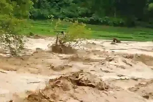 Người đàn ông 8 giờ đu gốc cây giữa dòng lũ dữ