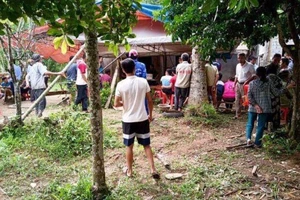 Bắt giam kẻ ra tay sát hại mẹ ruột dã man