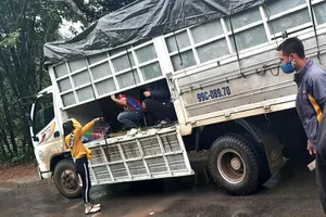 Xe tải chở 15 người có cả trẻ em vượt chốt khai báo y tế