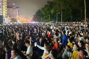 Thanh Hóa: Dừng các lễ hội, không bắn pháo hoa để chống dịch 