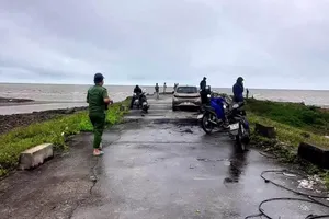 Thi thể người đàn ông chưa rõ danh tích dạt vào bờ biển Nam Định