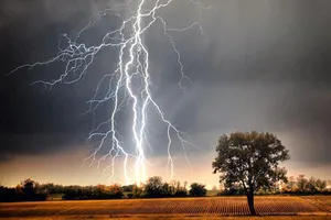 2 người phụ nữ bị sét đánh tử vong khi đi làm đồng