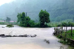 Mưa lớn gây ngập lụt cục bộ nhiều nơi ở Thanh Hóa