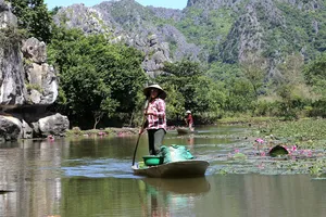 Rong thuyền thu hoạch củ ấu giữa lòng danh thắng xứ Thanh