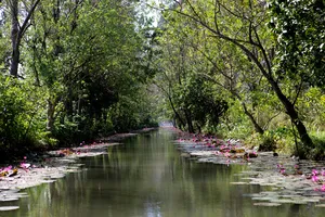 Có một mùa thu 'châu Âu' thu nhỏ trong lòng xứ Thanh