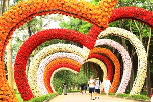 'Con đường tình yêu' giữa lòng công viên Hội An hút giới trẻ check in, sống ảo