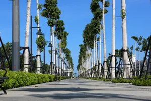 Thanh Hóa sắp có đại lộ ven biển đẹp nhất tỉnh 