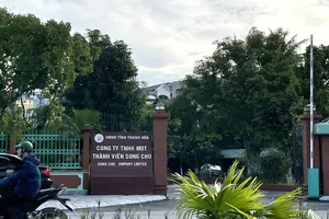 1 doanh nghiệp có nhiều người nhà Chủ tịch HĐTV giữ các chức quan trọng 