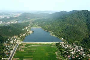 Cận cảnh rừng sến lớn nhất Đông Nam Á ở Thanh Hóa