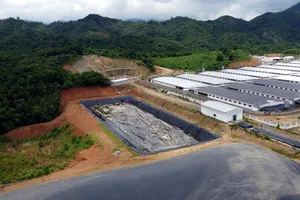 Hàng ngàn người dân 'sống chung' với mùi hôi thối từ trang trại nuôi heo