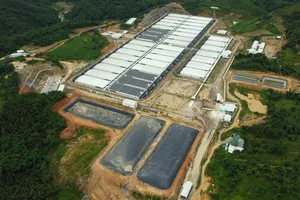 Đình chỉ hoạt động trang trại nuôi heo bốc mùi hôi thối ở Thanh Hóa