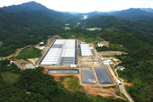 Vụ trang trại nuôi heo bốc mùi hôi thối ở Thanh Hóa: Đã di chuyển 30.000 con heo